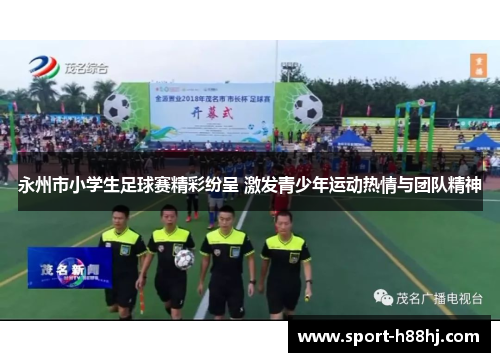 永州市小学生足球赛精彩纷呈 激发青少年运动热情与团队精神