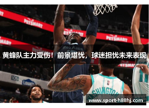 黄蜂队主力受伤！前景堪忧，球迷担忧未来表现
